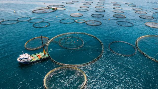 ¿Cómo puede la acuicultura favorecer la biodiversidad acuática y la alimentación sostenible??