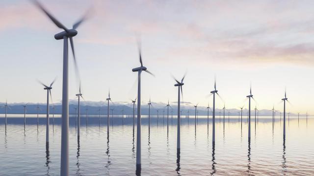 Compartir el mar: ¿son compatibles la energía eólica marina y la pesca sostenible?