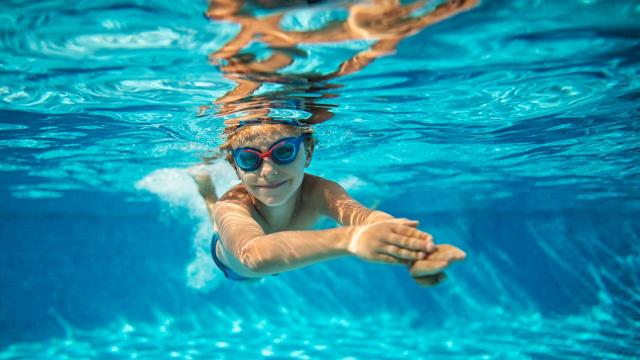 Hay dos apps para acceder a la compra de entradas desde el móvil