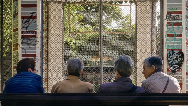 Un grupo de mujeres conversan sentadas en un banco.
