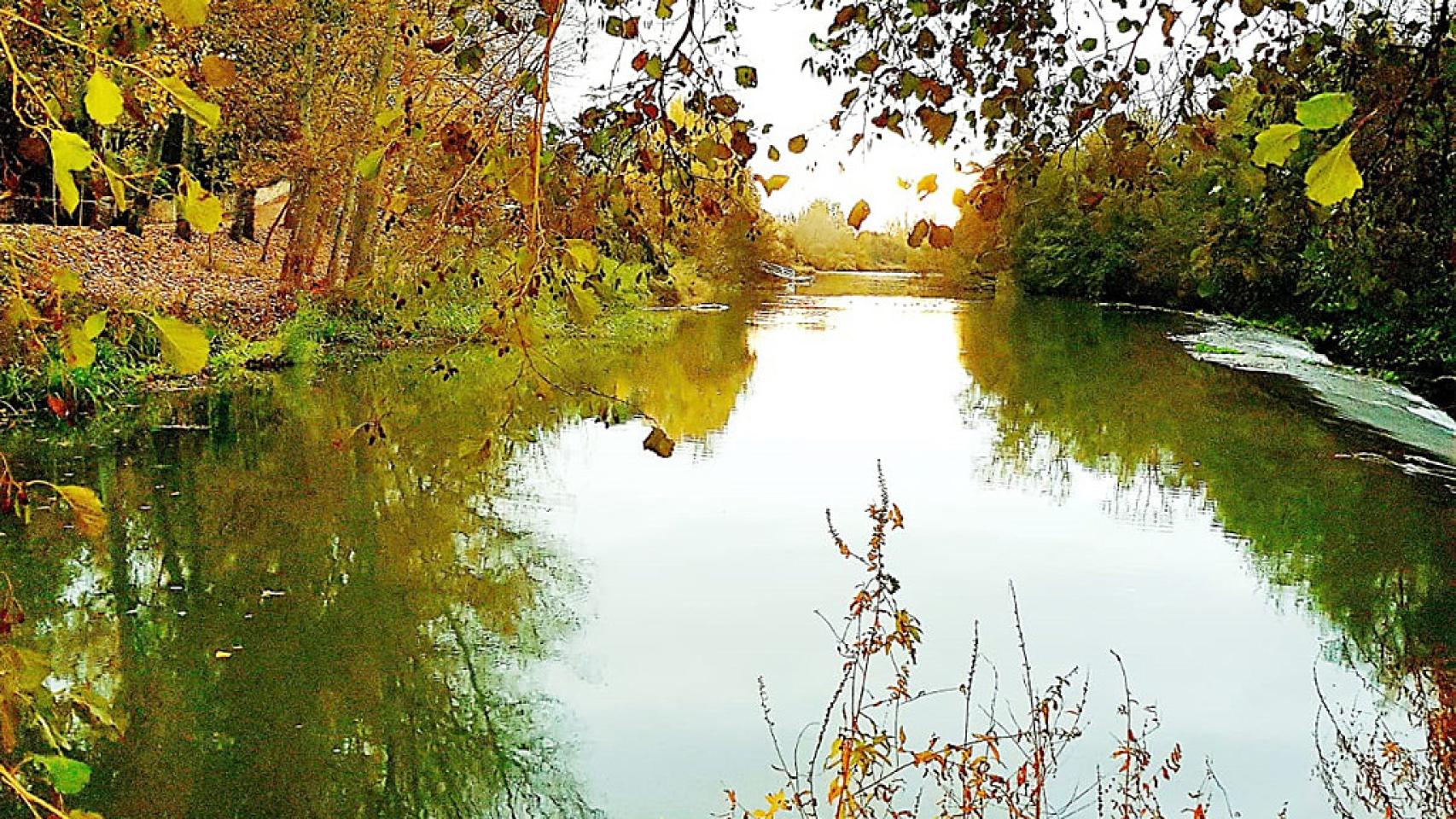La Isla en Valbuena de Duero. Imagen: Ana S. Martín / Ayuntamiento de Valbuena de Duero