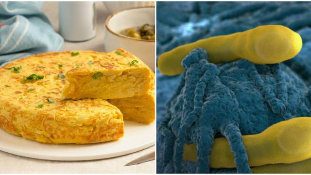 Una tortilla de patata y una imagen de botulismo alimentario
