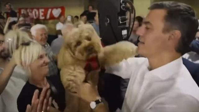 Imagen de Pedro Sánchez a la entrada del acto de Lugo.