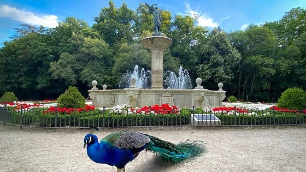 El Campo Grande en Valladolid