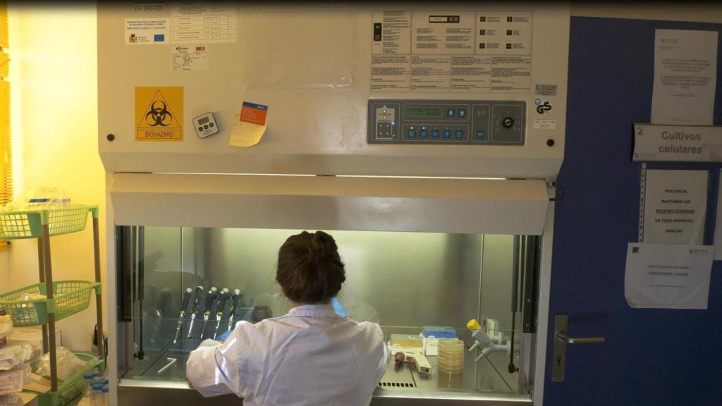 Imagen de archivo de una investigadora en un laboratorio