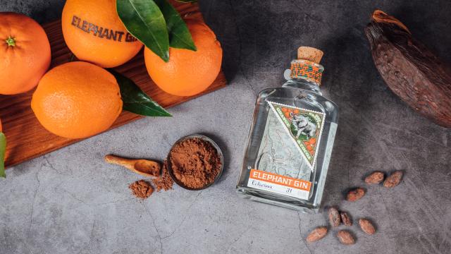 CDC_ELEPHANT GIN_SUITE_03