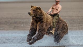 El complejo del oso herido: por qué Occidente odia a Rusia y por qué Rusia se siente amenazada