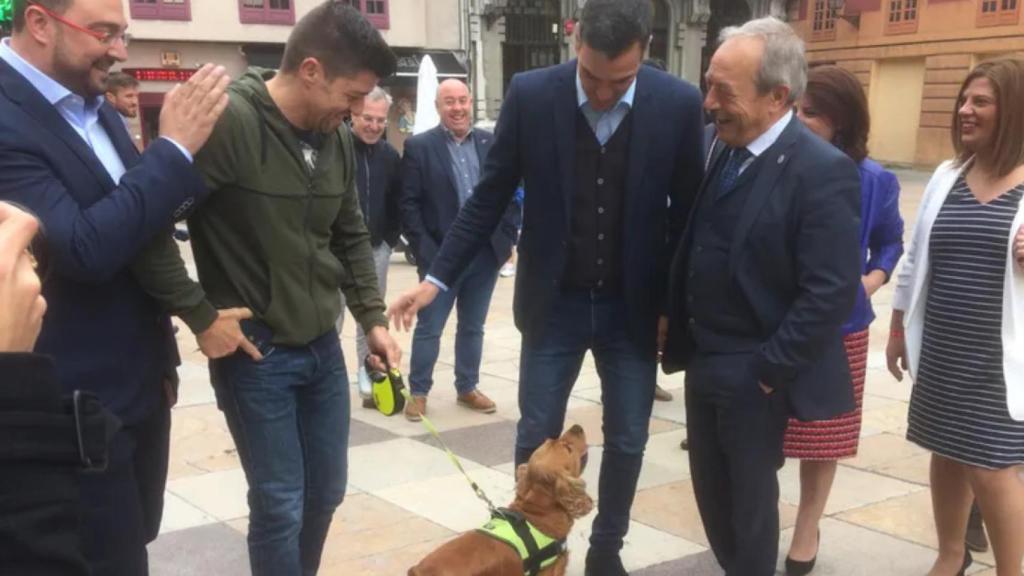 El perro llamado Pedro saluda a Pedro Sánchez en Oviedo, en mayo de 2019.