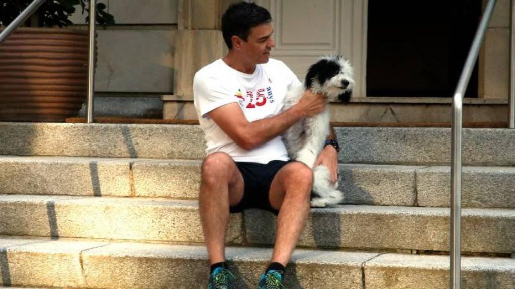 Pedro Sánchez con Turca, uno de sus perros, en 2017.