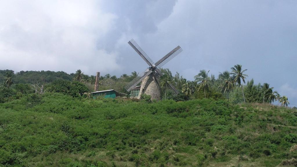 Molinos en Barbados.