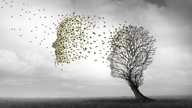 Reflexionando sobre la falta de memoria, los olvidos y el alzhéimer, desde la ciencia