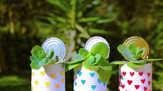 Que tus desechos se conviertan en tesoros para otros