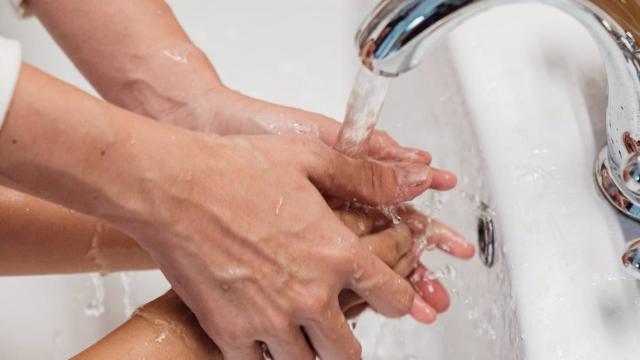 Grifo en una imagen de archivo.