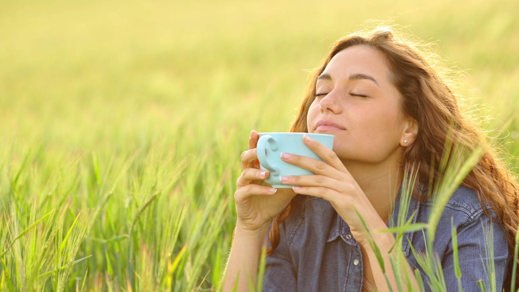 La infusión natural que te ayudará a perder peso y a mejorar el sueño