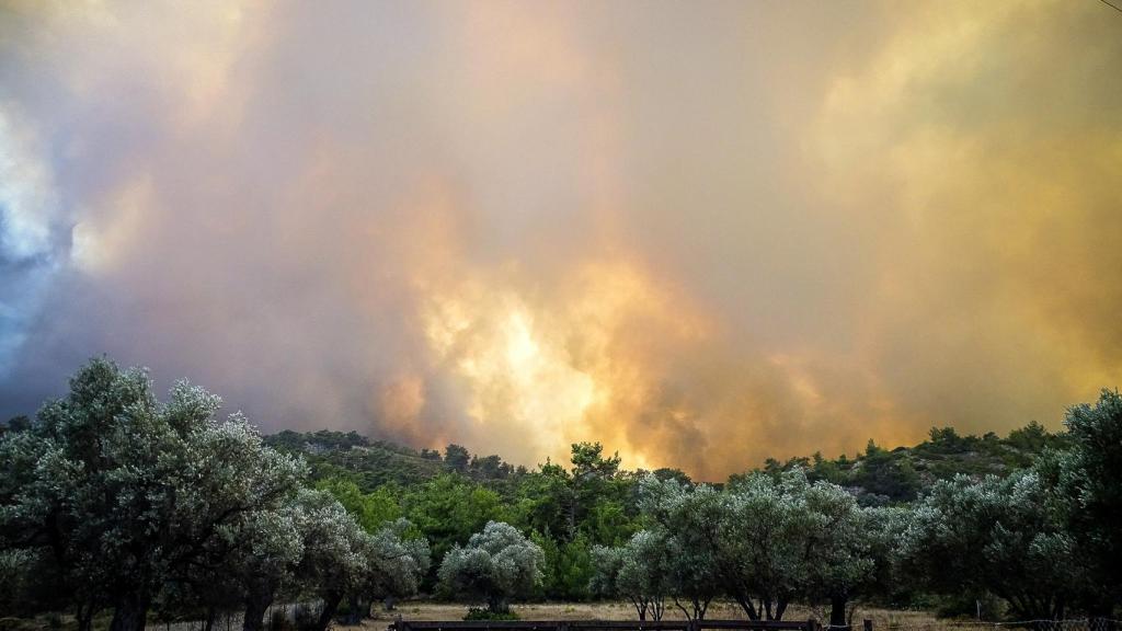 Zona forestal donde se originó el incendio.