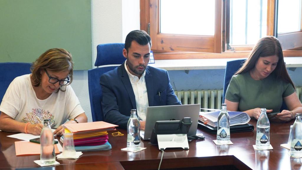 Imagen de la comisión de Empleo celebrada este sábado en la Diputación de Valladolid.
