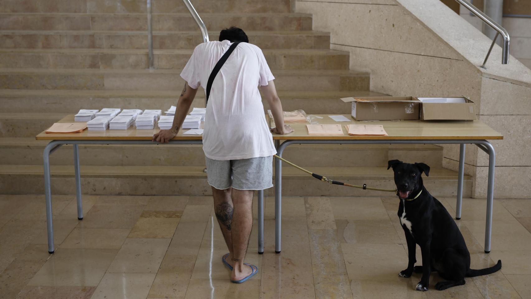 Una persona escoge la papeleta para votar en un colegio de la Comunidad Valenciana.