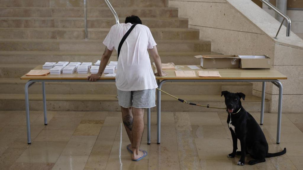 Una persona escoge la papeleta para votar en un colegio de la Comunidad Valenciana.