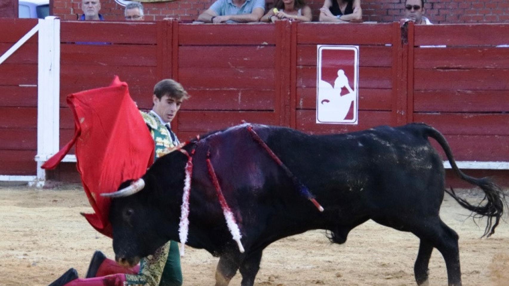 Primera novillada del circuito en Castilla y León en Tordesillas
