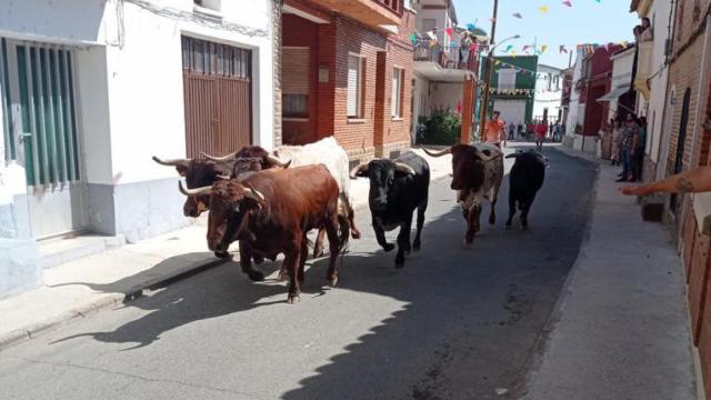 Imagen de archivo de un encierro en Villafranca de Duero