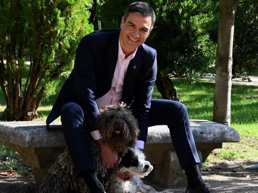 Pedro Sánchez, con su amigo canino.