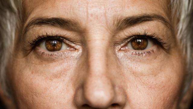 Cejas castañas de una mujer con ojos marrones. Foto: iStock.