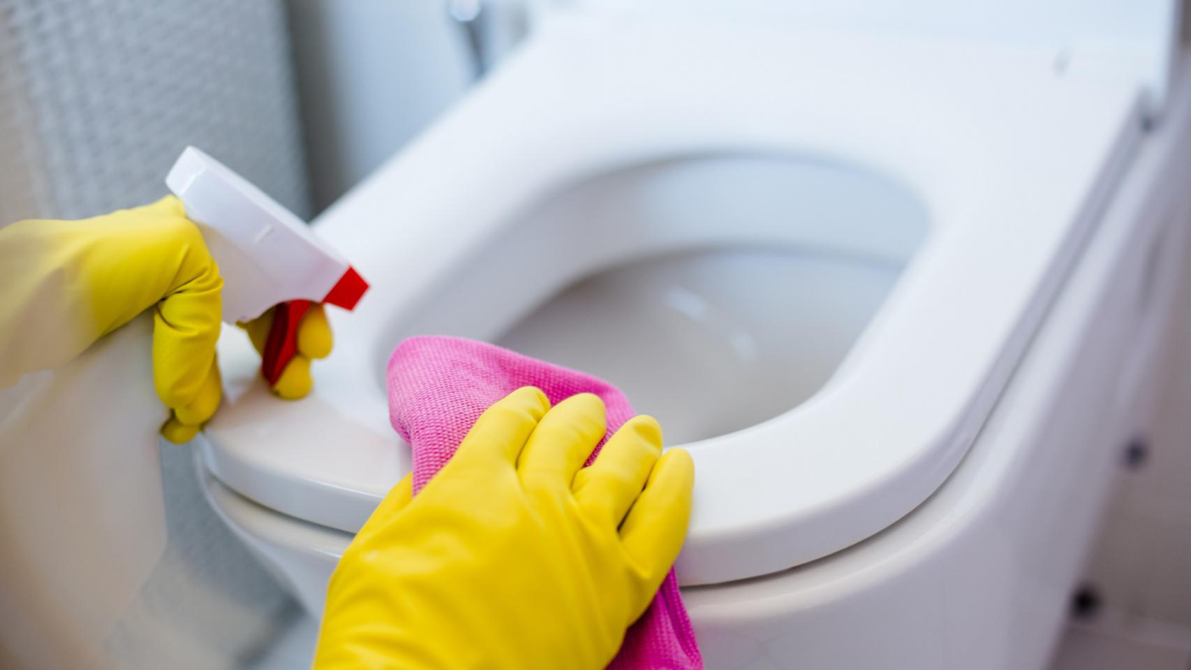 Limpieza WC