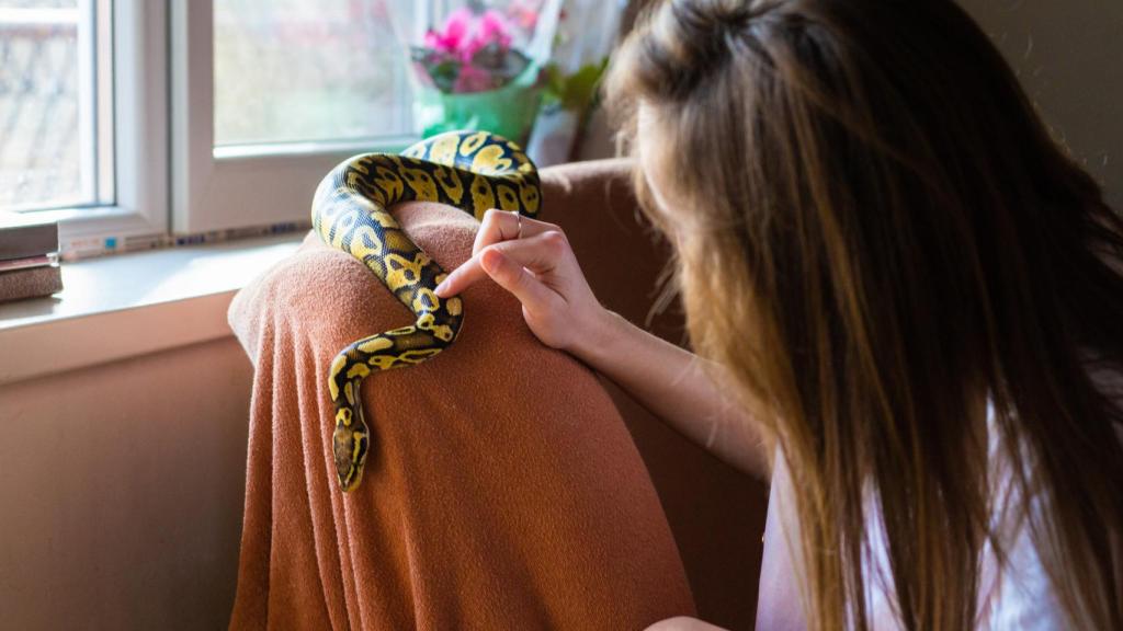Serpiente