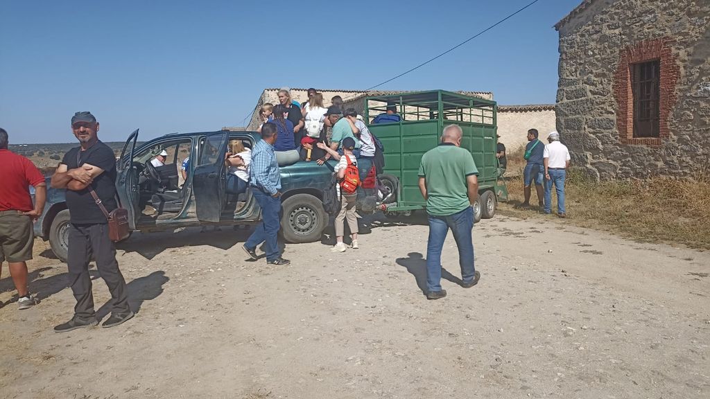 'Transporte de animales' para visitar los novillos en Calzadilla del Campo