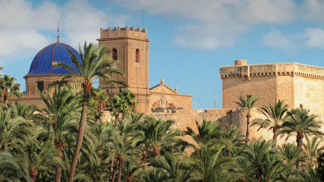 El Palmeral de Elche, en imagen de archivo.