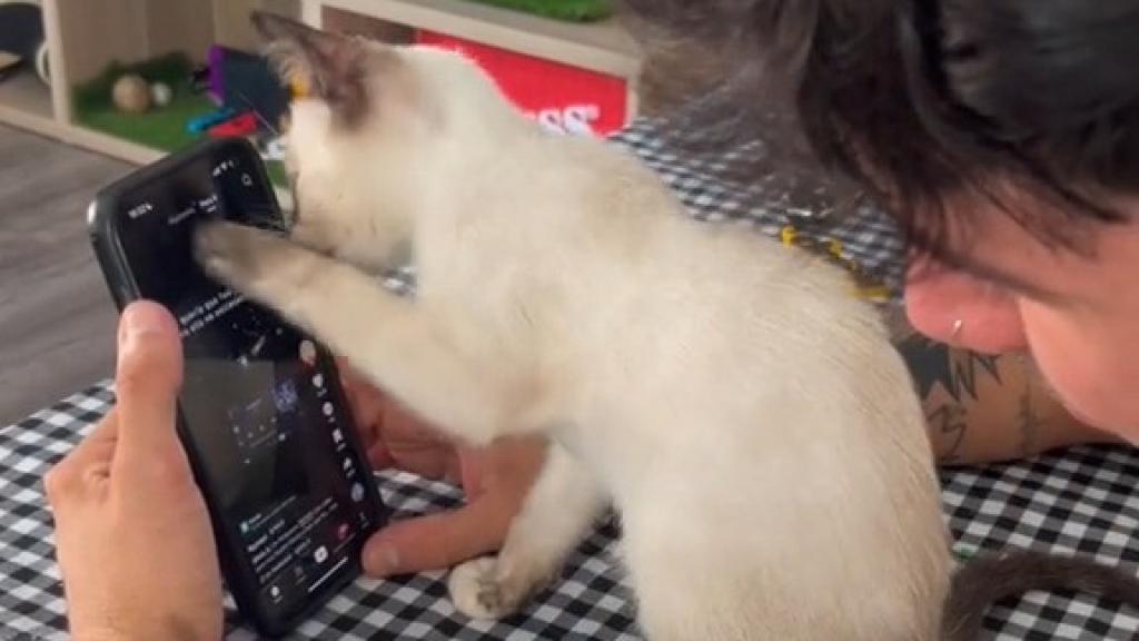 TikTok de @sieteex.