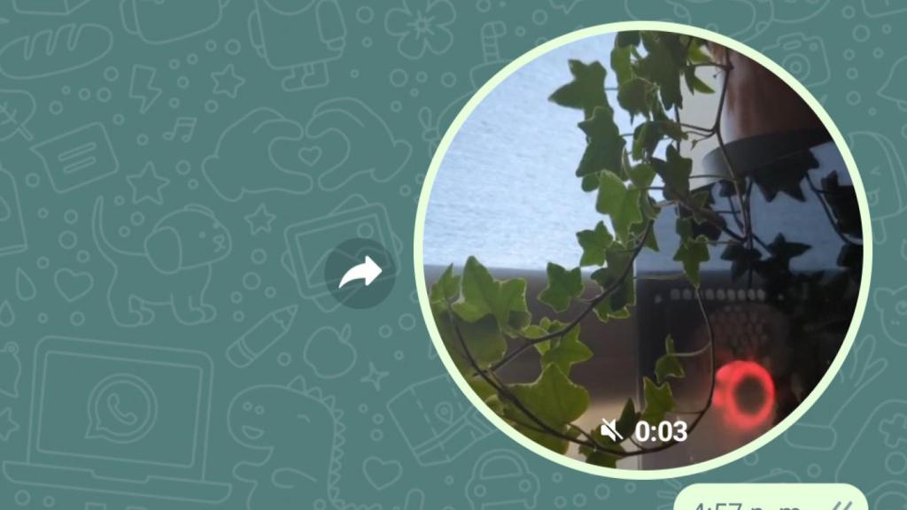 Previsualización de un mensaje de vídeo