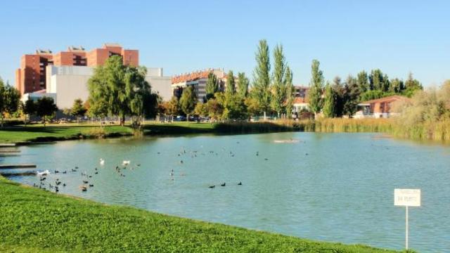 Imagen del lago del municipio vallisoletano de Laguna de Duero.