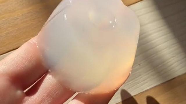 El truco viral de riego de plantas de la tiktoker @enabrilhojasmil.