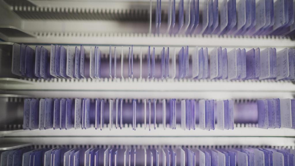 Vista de un banco de muestras biológicas