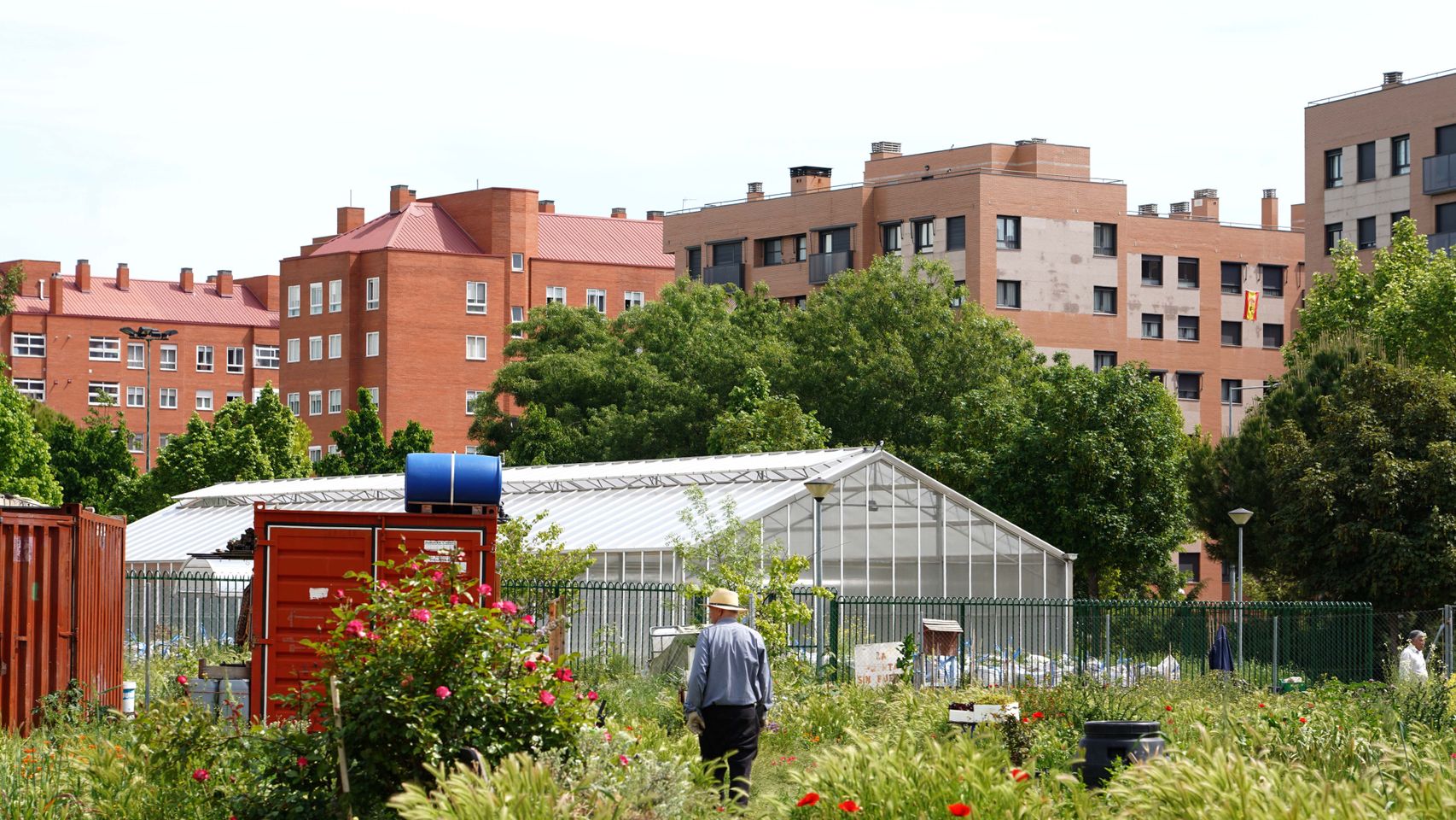 Huerto urbano 'jardín botánico' en el barrio de La Victoria