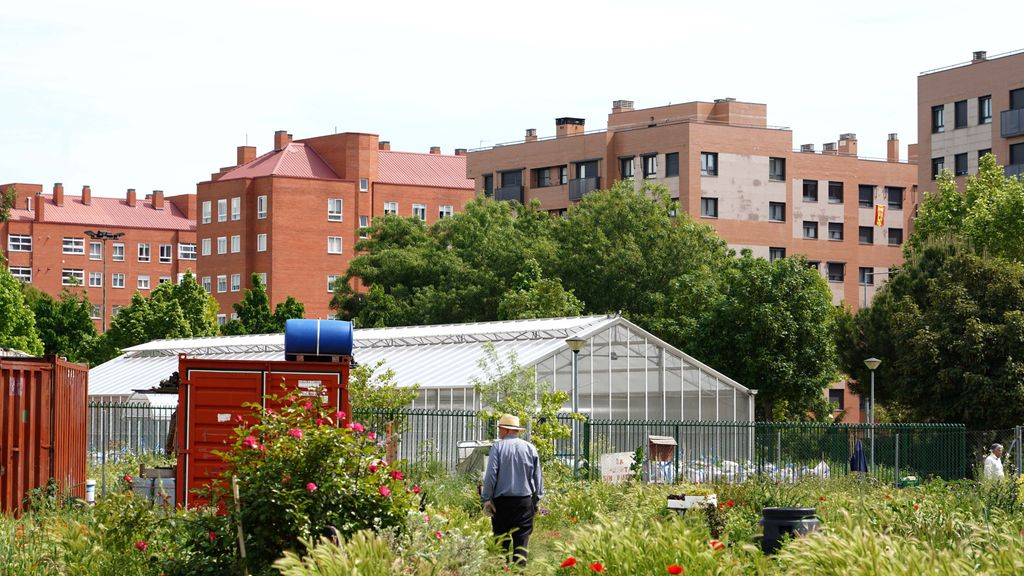 Huerto urbano 'jardín botánico' en el barrio de La Victoria