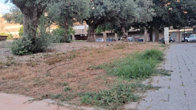 Zonas Verdes Medicina 2