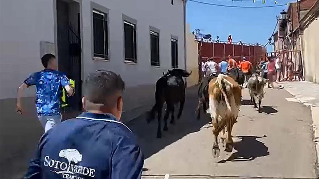 Imagen del encierro de esta mañana en Pozaldez