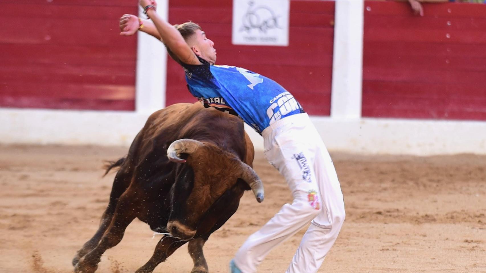 Concurso de cortes de Íscar