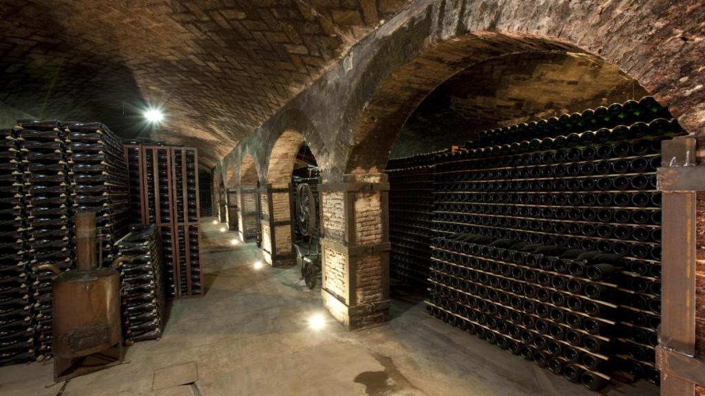 El interior de la bodega Torelló