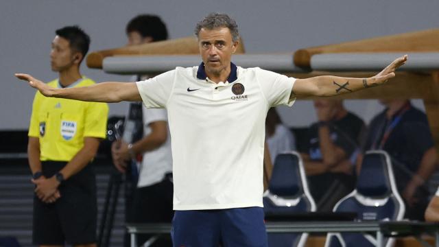 Luis Enrique, durante un partido del PSG