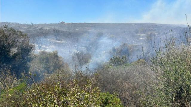 Incendio en un paraje de La Línea de la Concepción