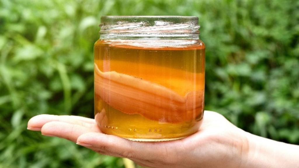 La reina Letizia es una gran fan de la kombucha.