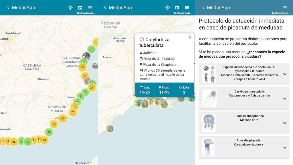 Mapa de avistamientos de medusas