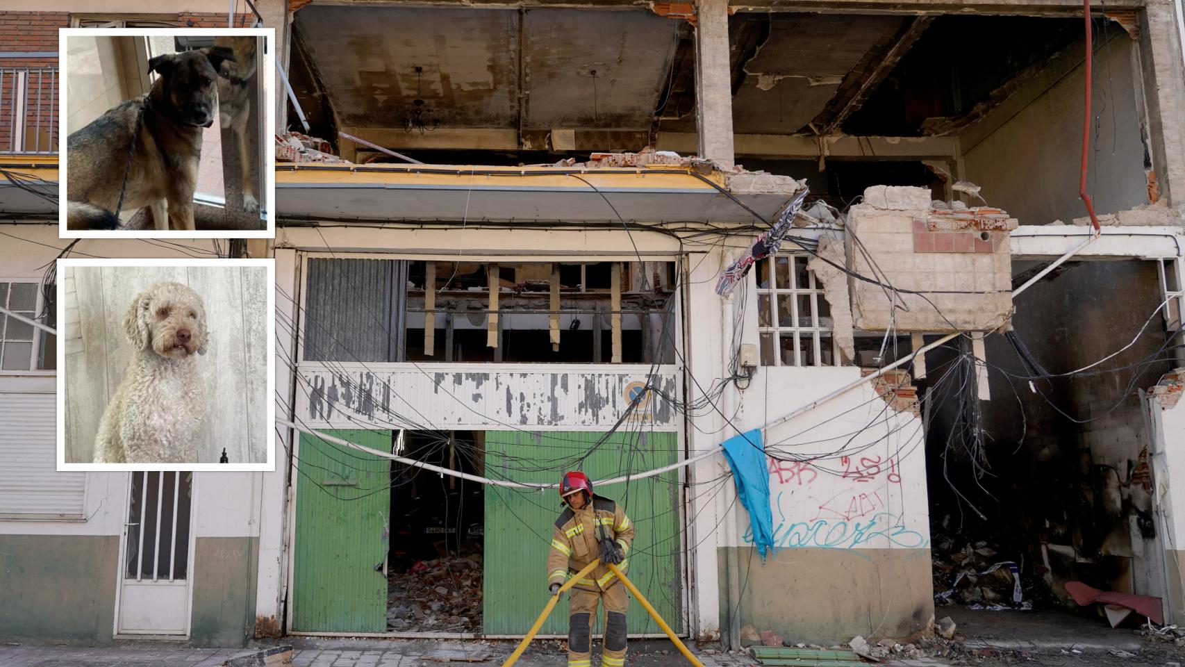 La vivienda que ha explotado en la calle Goya y los animales que buscan