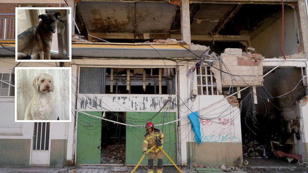 La vivienda que ha explotado en la calle Goya y los animales que buscan
