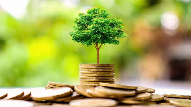 La banca sostenible es el futuro de las finanzas.