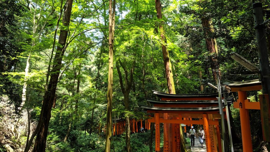 Fushimi Inari-taisha es una de las visitas obligatorias de Japón, no solo de Kioto