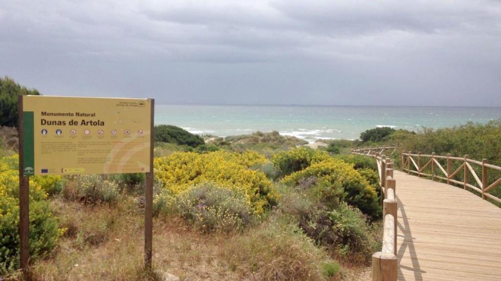 Dunas de Artola.
